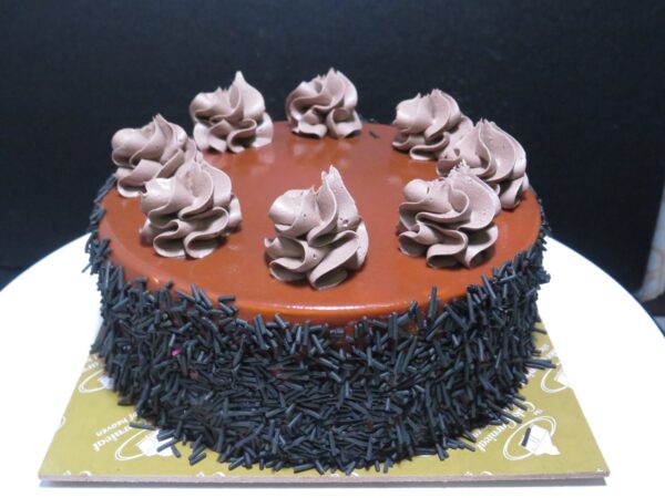 Chocolate Caramel Cake